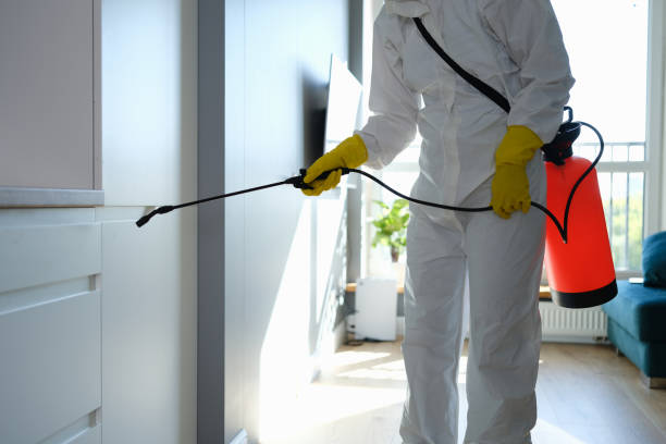 Best Commercial Mold Inspection  in Norton Center, MA